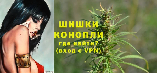 spice Козловка