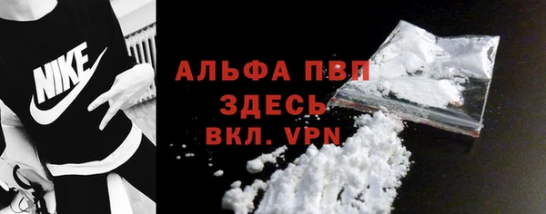 стафф Корсаков