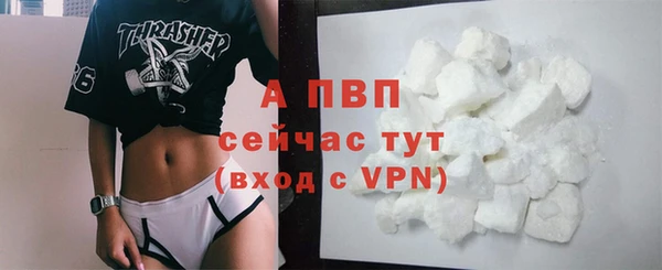 прущие грибы Костерёво
