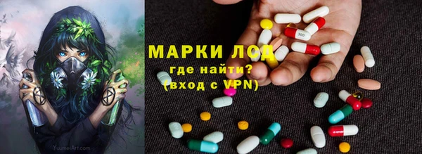 стафф Корсаков